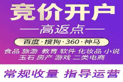 行业领先企业的SEM竞价专员工作实录
