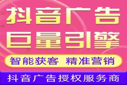 某某sem推广公司在某行业的应用与效果分析